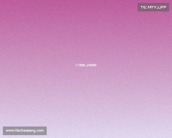 GT赛事规则_gt赛车锦标赛