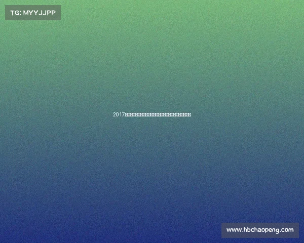 2017年在比利时亨克足球锦标赛激情燃烧赛场梦想起航荣耀时刻